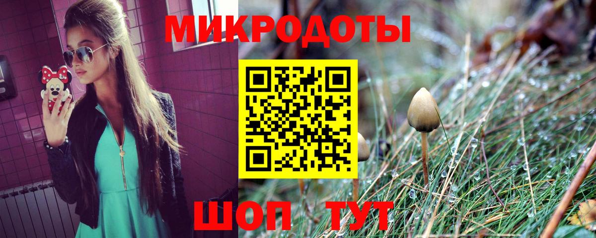 Псилоцибиновые грибы Psilocybe Старый Оскол